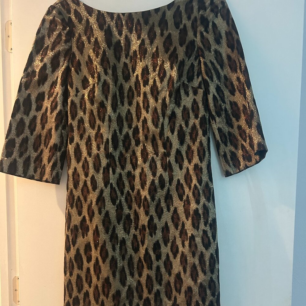 Tina Turk dress